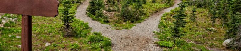 Explore a forked trail in Manning Park, BC amidst lush greenery and conifer trees for blog on Choices: A fork in the road