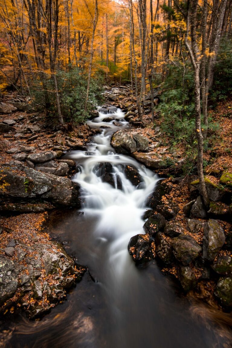 time-lapse photo of body of water surrounded by trees for blog post on Living with Purpose: An ACT approach to unhooking from struggles