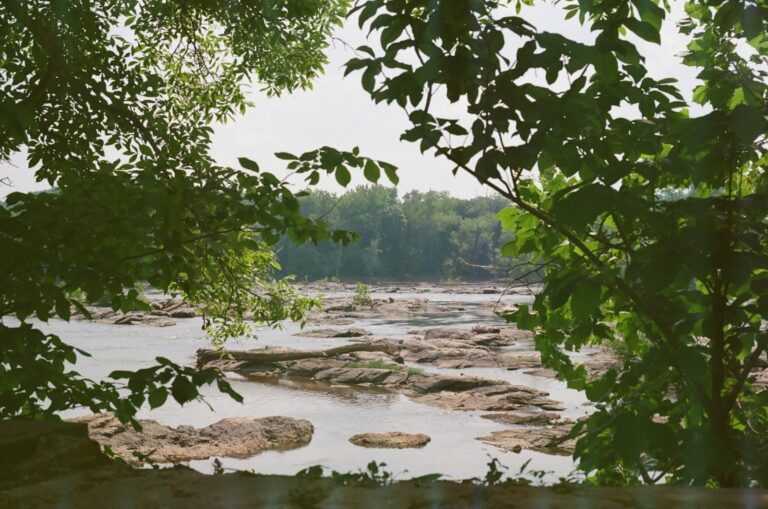 a river running through a lush green forest for trauma therapy in Potomac, MD webpage