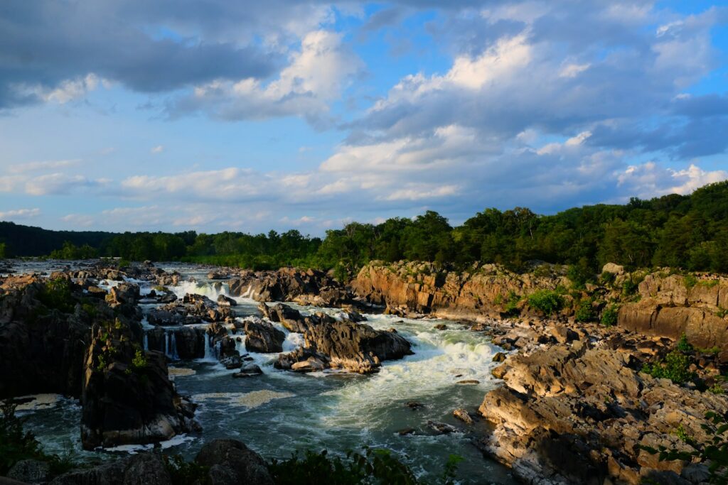 a river with rocks and trees
