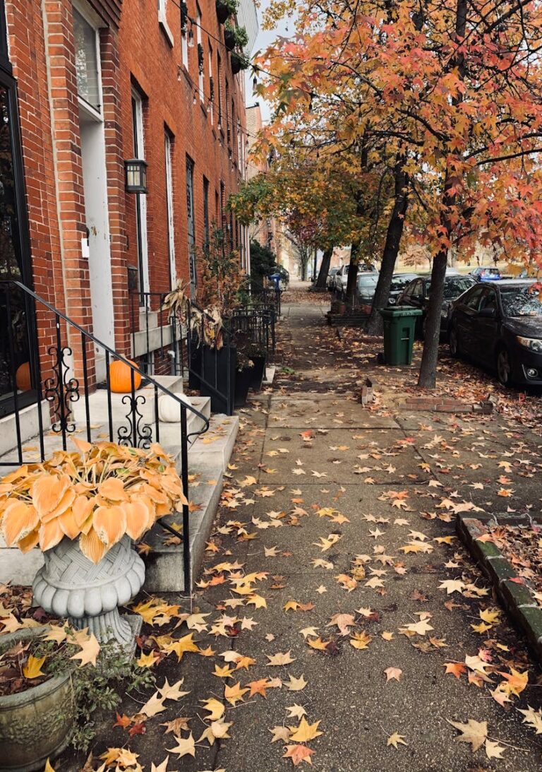 Photo by Pexels User Picturesque fall street in for Trauma Therapy in Ellicott City webpage.