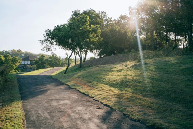 A serene paved pathway illuminated by natural sunlight, surrounded by lush green grass and tall trees for ocd therapy in bethesda, md webpage.
