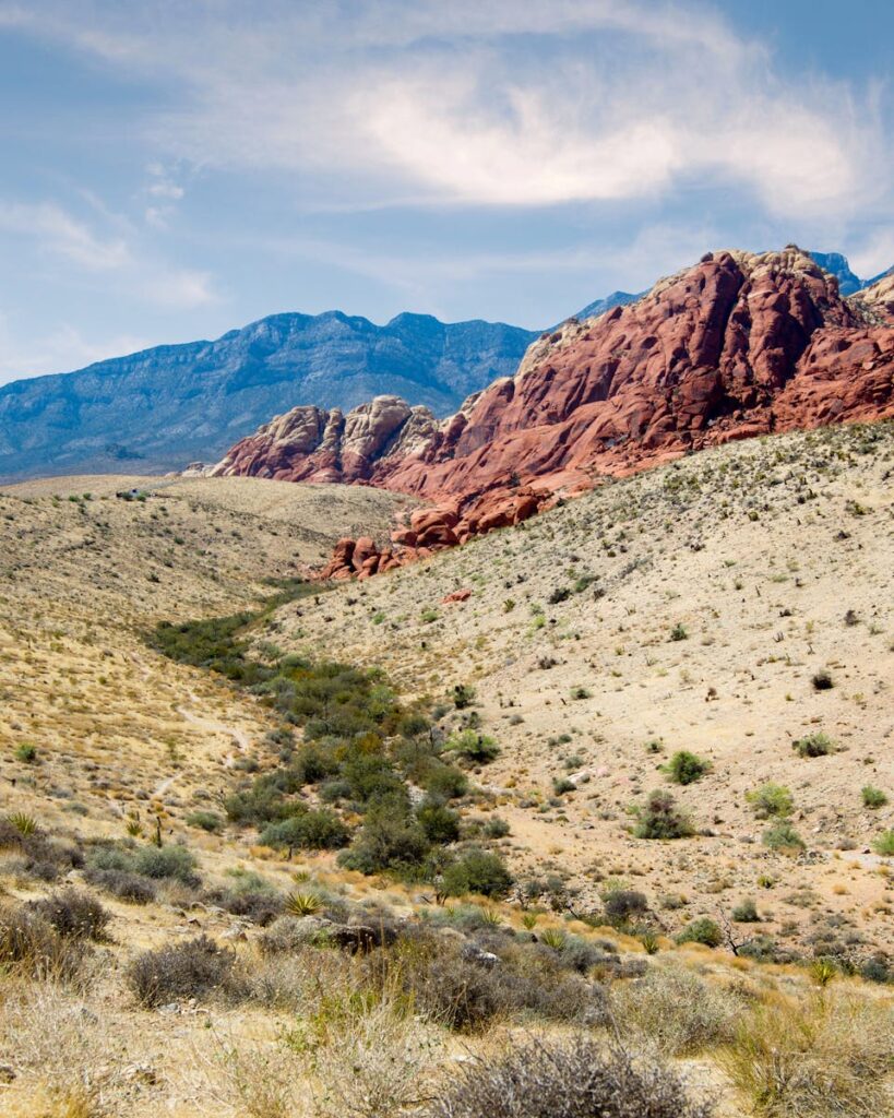 Calm desert landscape near Red Rock Canyon symbolizing EMDR healing in Summerlin NV