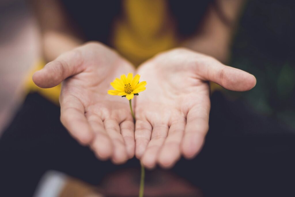 Hands holding yellow flower symbolizing healing with EMDR Intensive Therapy in Maryland