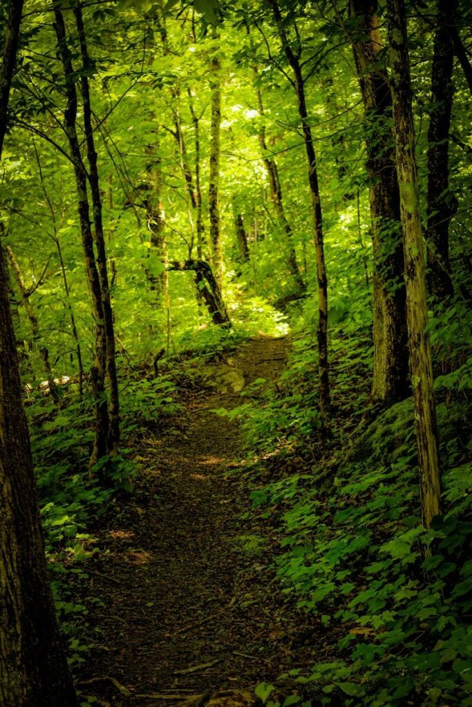 Vermont landscape representing accessible online EMDR Intensives for trauma treatment statewide